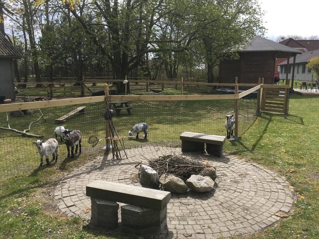 Hestkaer Family Rooms Summer Camp Krogager ภายนอก รูปภาพ