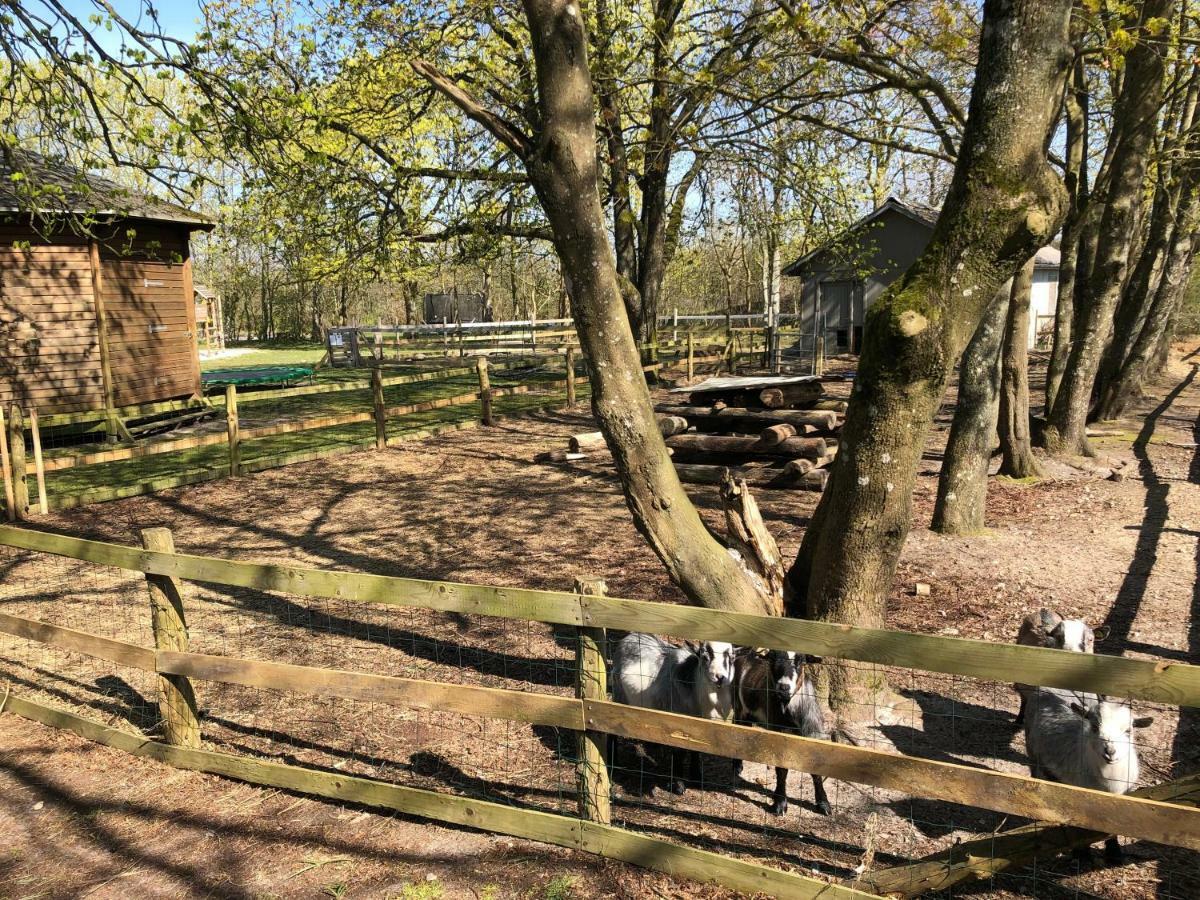 Hestkaer Family Rooms Summer Camp Krogager ภายนอก รูปภาพ